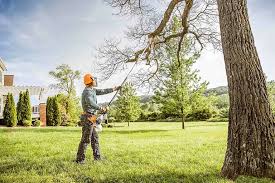 How Our Tree Care Process Works  in  Humboldt, KS